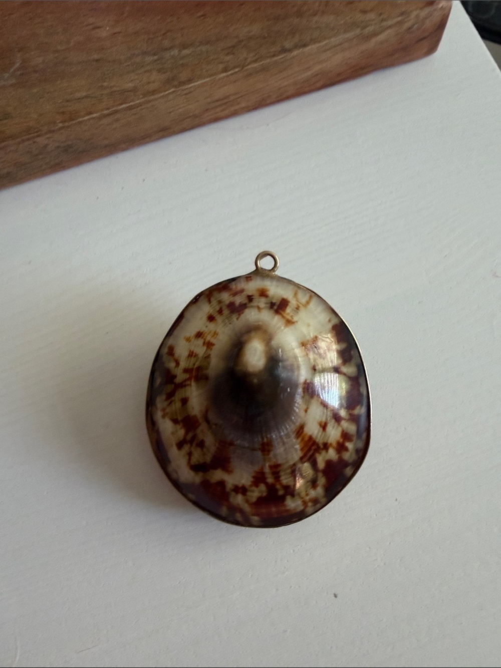 Vintage Coastal Brown and Olive Green Clam Shell Pendant with Gold Rim